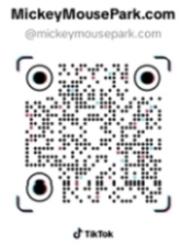 TikTok Channel